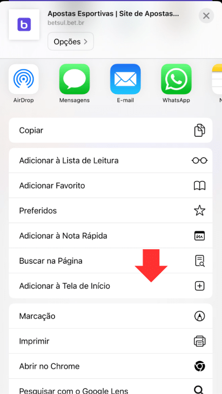 Tela para criar atalho e usar o Betsul app no iPhone