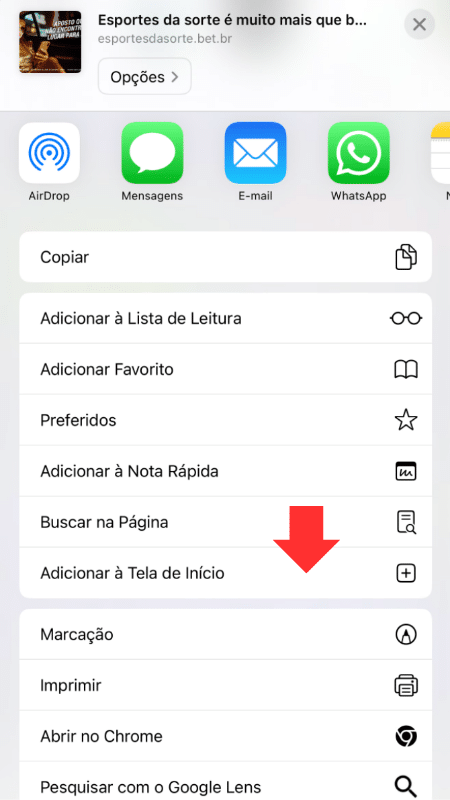 Tela com atalho para usar a Esportes da Sorte no sistema iOS